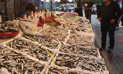 Rize'de balıkçı tezgahlarında bolluk yaşanıyor