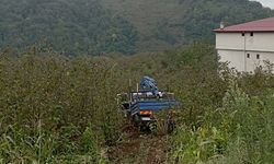 Samsun'da fındık bahçesine yuvarlanan kamyonetteki 3 kişi yaralandı