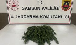 Samsun'da iş yerinde kubar esrar bulunan zanlı gözaltına alındı