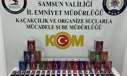 Samsun'da kaçakçılık operasyonunda 1 şüpheli yakalandı