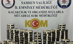 Samsun'da kaçakçılık operasyonunda 1 zanlı yakalandı