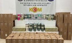 Samsun'da kaçakçılık operasyonunda 2 zanlı yakalandı