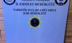 Samsun'da uyuşturucu operasyonda 2 zanlı tutuklandı