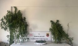 Samsun'da uyuşturucu operasyonunda 2 şüpheli yakalandı