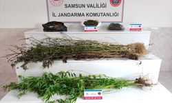 Samsun'da uyuşturucu operasyonunda 3 kişi yakalandı