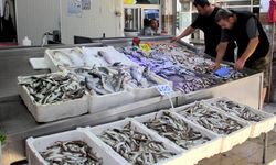 Sinop'ta balıkçılar denizden umduğunu bulamadı