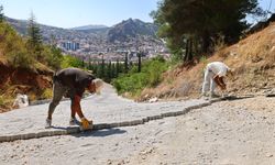 Tokat Belediyesi Ali Mezarlığı'nda düzenleme çalışmaları yaptı
