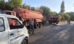 Tokat'ta çıkan orman yangını kontrol altına alındı
