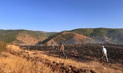 Tokat'ta çıkan orman yangınında 2 hektarlık alan zarar gördü