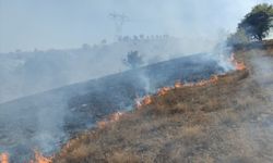 Tokat'ta makilik alanda çıkan yangına müdahale ediliyor