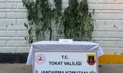 Tokat'ta uyuşturucu operasyonunda 1 kişi gözaltına alındı