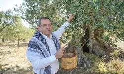 Ayvalık, zeytin ve zeytinyağının buluşma noktası olacak