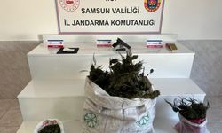 Bafra'da uyuşturucu operasyonunda 1 şüpheli gözaltına alındı