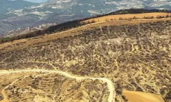 Bilecik'te yangın bölgelerine havadan inceleme