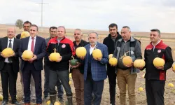 Birinci olan Kayseri Talaslı çiftçiye Başkan Yalçın'dan tebrik