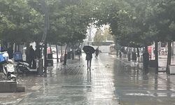 Bolu'da sağanak etkili oldu