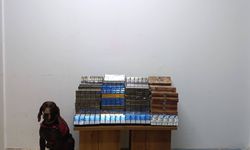 Bolu'da yolcu otobüsünde 1650 paket kaçak sigara ele geçirildi