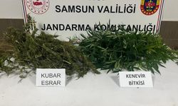 Çarşamba'da uyuşturucu operasyonunda 1 zanlı yakalandı