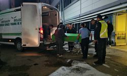 Çorum'da çiftçi, 'hayvan otlatma' nedeniyle tartıştığı komşusunu öldürüp intihar etti