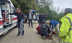 TARIM ARACI DEVRİLDİ, YARALILAR VAR