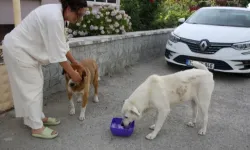 Edirne'de 200 bin TL borçla boğuşan KEHAY-KO'dan yardım çağrısı