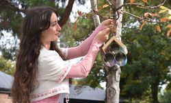 Görele'de konserve mama kutularından kuşlara yuva yapıldı