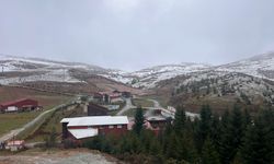 Gümüşhane, Giresun ve Ordu'nun yüksek kesimleri beyaza büründü