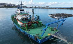 Karadeniz'de balık stoklarının araştırılmasına yönelik çalışmalar devam ediyor