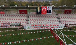 Kargı Panayırı güreşlerinde 600 pehlivan altın kemer için kol bağlayacak