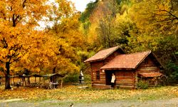 Kastamonu ormanları sonbahar renklerine büründü