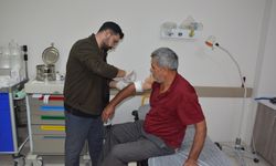 Kastamonu'da ayıdan kaçarken düşen çiftçi yaralandı