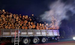 Kastamonu'da tomruk yüklü tırın dorsesinde çıkan yangın söndürüldü