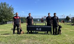Köpekli arama kurtarma ekiplerinin bir durağı da Trabzon oldu