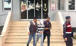 Ordu'da bir evden fındık çaldığı iddia edilen zanlı tutuklandı