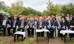 Ordu'da tescilli Akkuş şeker fasulyesinin hasadına başlandı
