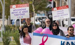 Osmancık'ta Meme Kanseri Farkındalık Yürüyüşü düzenlendi