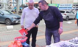 Rize'de balık tezgahlarında hamsi bolluğu yaşanıyor