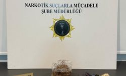 Samsun'da uyuşturucu operasyonunda 9 zanlı yakalandı
