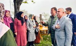Sinop Milletvekili Maviş, Türkeli ilçesindeki grup yolunu inceledi