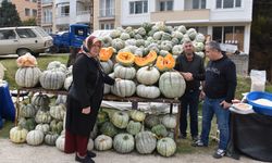 Tarihi Boyabat Panayırı başladı