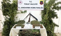 Tokat'ta 4 kilo 578 gram kubar esrar ele geçirildi