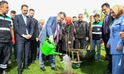Trabzon'da 37 bin fidan toprakla buluştu