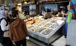 Trabzon'da hamsi ve istavritin kilogramı 100 liradan satılıyor