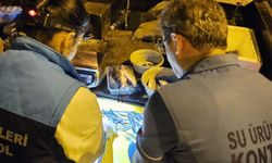 Trabzon'da su ürünleri denetimleri devam ediyor