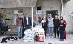 GÖNÜLDEN HAYVANSEVENLER İŞ BAŞINDA