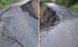 ORMANLI'DA HEYELAN