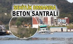 ASKERİ LİMAN İÇİN KURULUYOR