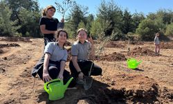 Yeniköy Kemerköy Enerji 300 zeytin fidanını toprakla buluşturdu