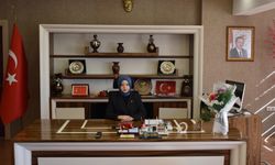 Yeşilyurt Kaymakamı Altın, görevine başladı