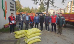 19 Mayıs ilçesinde 'Altındaneler Toprakla Buluşuyor Projesi' uygulanıyor